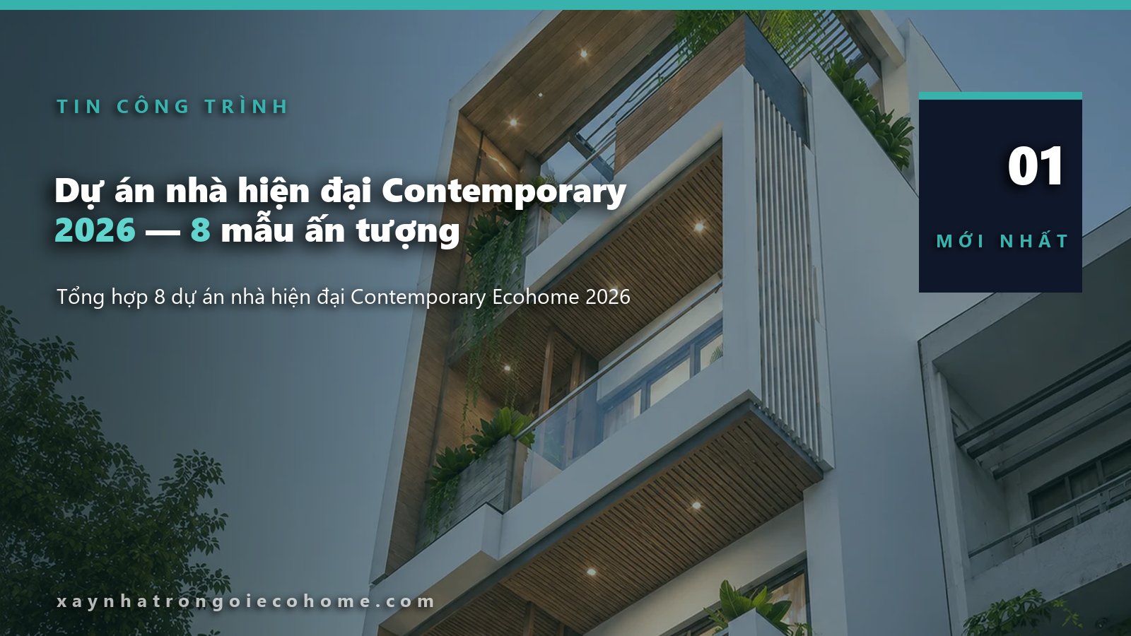 thiết kế nhà phố 1 tầng — minh họa thực tế